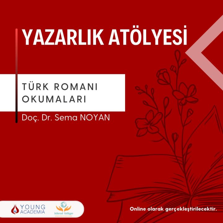 Türk Romanı Okumaları - Sema Noyan